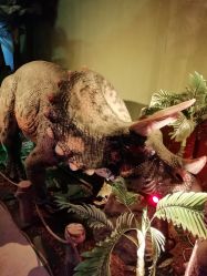 -恐龙探索乐园(磁器口店)