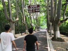 -紫金山山顶公园