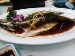 -老周家酱卤猪蹄私房菜(克拉玛依西街店)