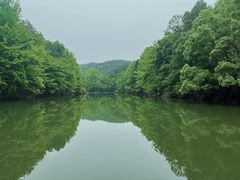 -青龙山国家森林公园