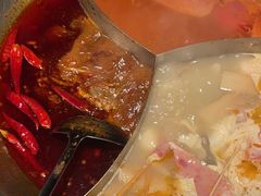 -辣伍鲜毛肚老火锅(元一店)
