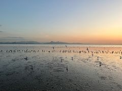 -深圳湾公园(南山区)