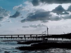 -南汇新城海滩