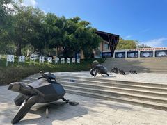 -广东惠东海龟国家级自然保护区