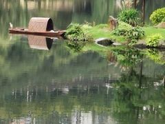 -重庆彩云湖湿地公园