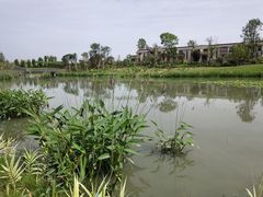 -两河城市森林公园