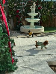 -米莱摄影写真(五大道别墅店)