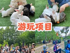-上海山野camping·户外天幕烧烤·团建拓展营地