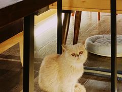 -Double cafe