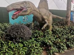 -观澜湖生态运动公社