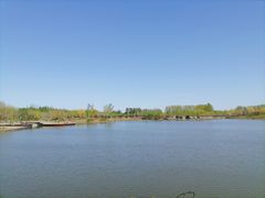 -东郊湿地公园