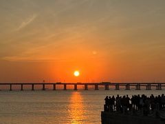 -深圳湾公园(南山区)