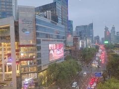 -小大董·烤鸭(观景餐厅·南京西路店)