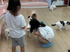 -1013 PET SHOP 宠物商店(近铁城市广场店)