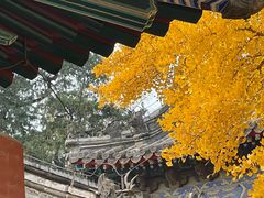 -承恩寺