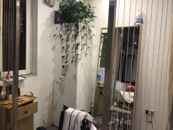 -MAGIC米几发型设计·羊毛卷