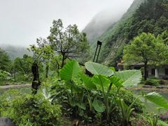 -白云源风景区