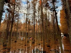 -捞渔河湿地公园