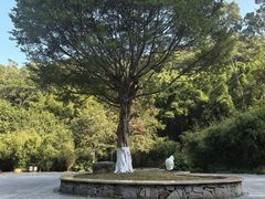 -火炉山森林公园