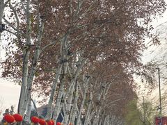 -南京维景国际大酒店(南京博物院店)