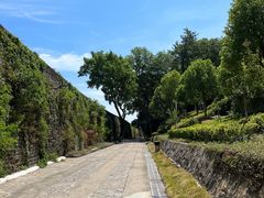 -九华山公园