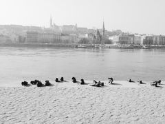 -多瑙河畔鞋履雕塑