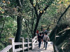 -灵岩山风景区