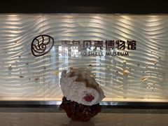 -青岛贝壳博物馆