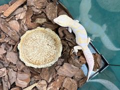 -万达广场(宜兴店)