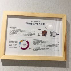 -漫画美甲美睫轻奢馆