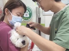 -瑞鹏宠物医院·微创内窥镜·骨外科·牙科(翠竹分院)