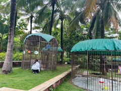 -西双版纳融创皇冠假日度假酒店