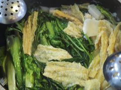 -15年老字号鑫鑫猪肚鸡·椰子鸡海南火锅(兴隆华侨农场店)