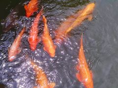 -鄂尔多斯野生动物园