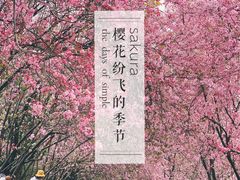 -昆明动物园