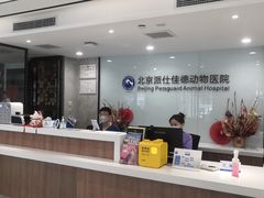 -北京派仕佳德动物医院·超导核磁·CT·神经科·骨科·内外科·急重症管理中心