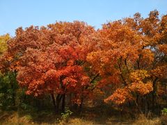 -北京西山国家森林公园