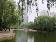 -团结湖公园
