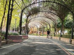 -湖州市少年宫