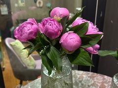 -循礼门鲜花花市(武汉循礼门店)