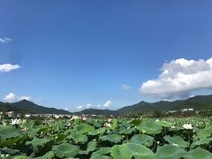 -古田会议纪念馆