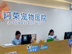 -阿荣24H宠物医院·综合型转诊中心·CT·核磁影像中心