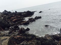 龙头岩-龙头岩(Dragon Head Rock)