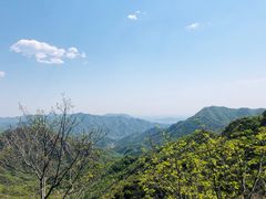-大岭沟猕猴桃谷风景区