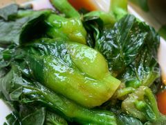 葱油菜苔-老乡鸡(庐江路店)