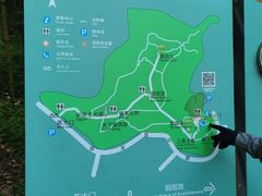 -上海佘山国家森林公园天马山园