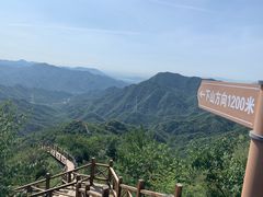 -大岭沟猕猴桃谷风景区