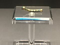 -上海观复博物馆