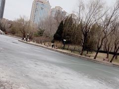 -团结湖公园