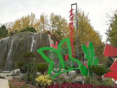 -合肥滨湖国家森林公园